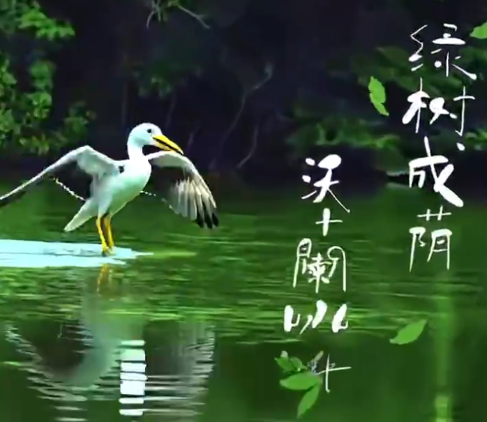 揣著最后一片蟬鳴 去八月的黃昏里 喝一杯沃蘭咖啡